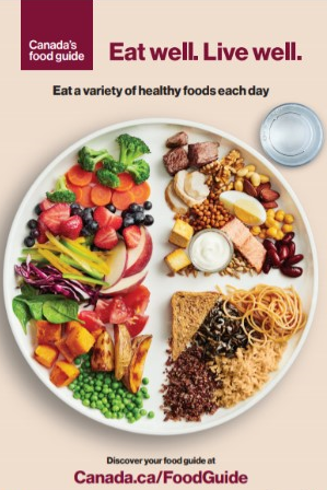What does Canada's Food Guide Say?