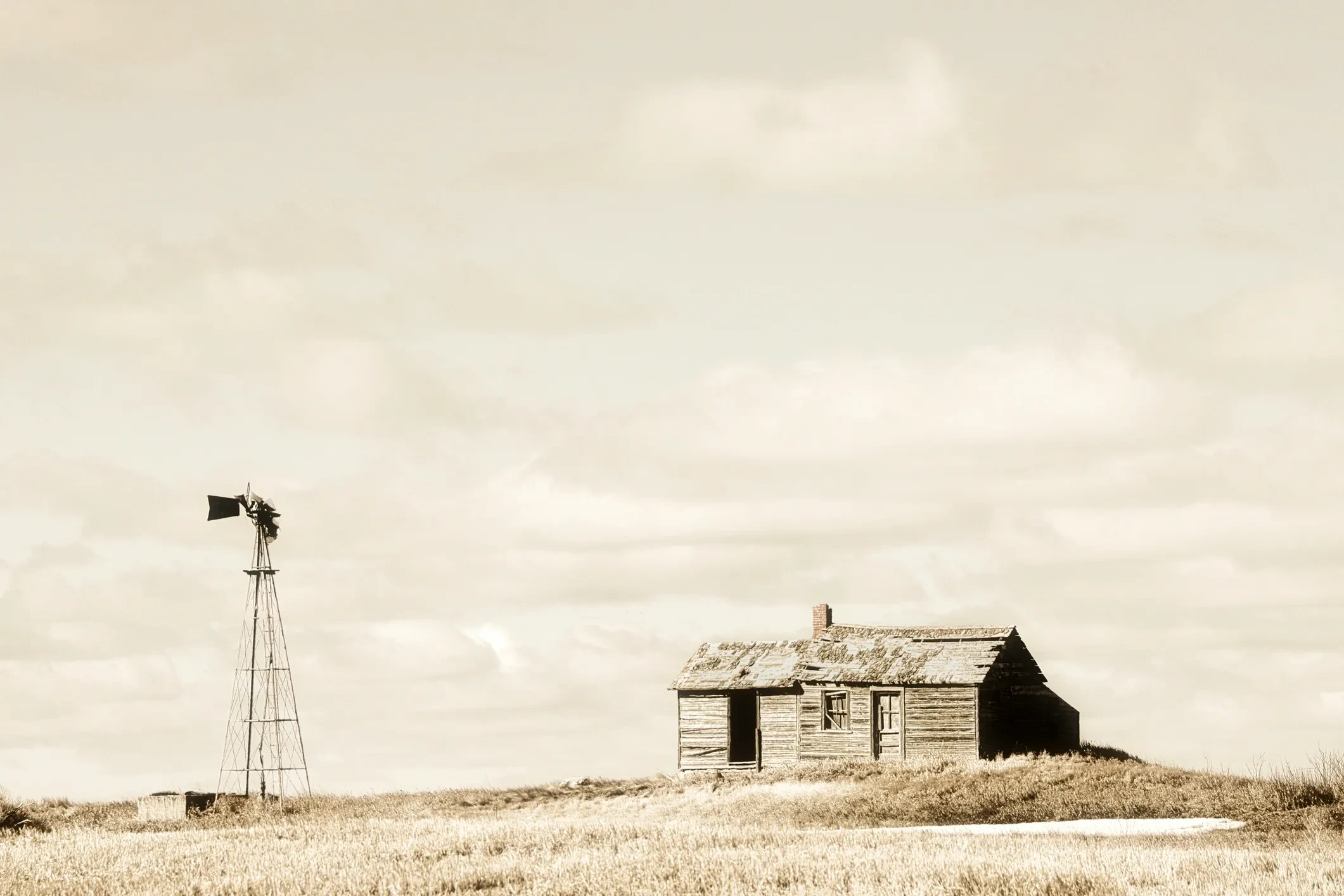 What did homesteaders eat?